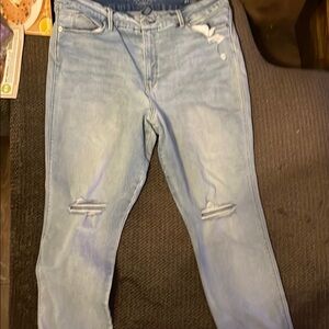 Arizona Blue hi rise curvy skinny Distressed Jeans